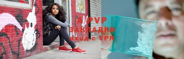 сатива Абаза