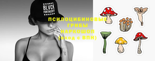 не бодяженный Новозыбков