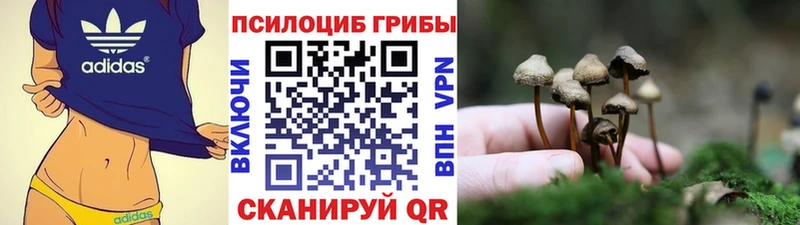 Галлюциногенные грибы MAGIC MUSHROOMS  магазин продажи наркотиков  Ханты-Мансийск 